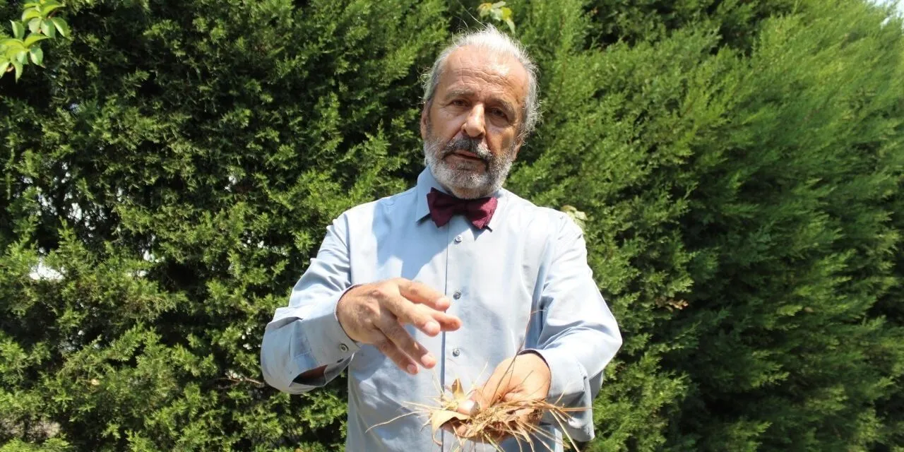 Tuncay Neyisci 1