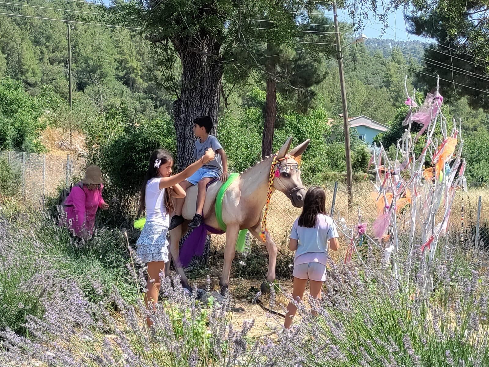 Vatandaşlar Gedelme'nin Mor Güzelliğiyle Buluştu (7)