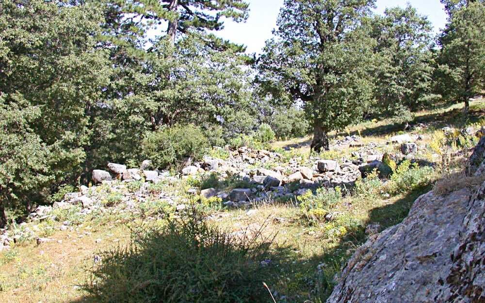Zorzila 3