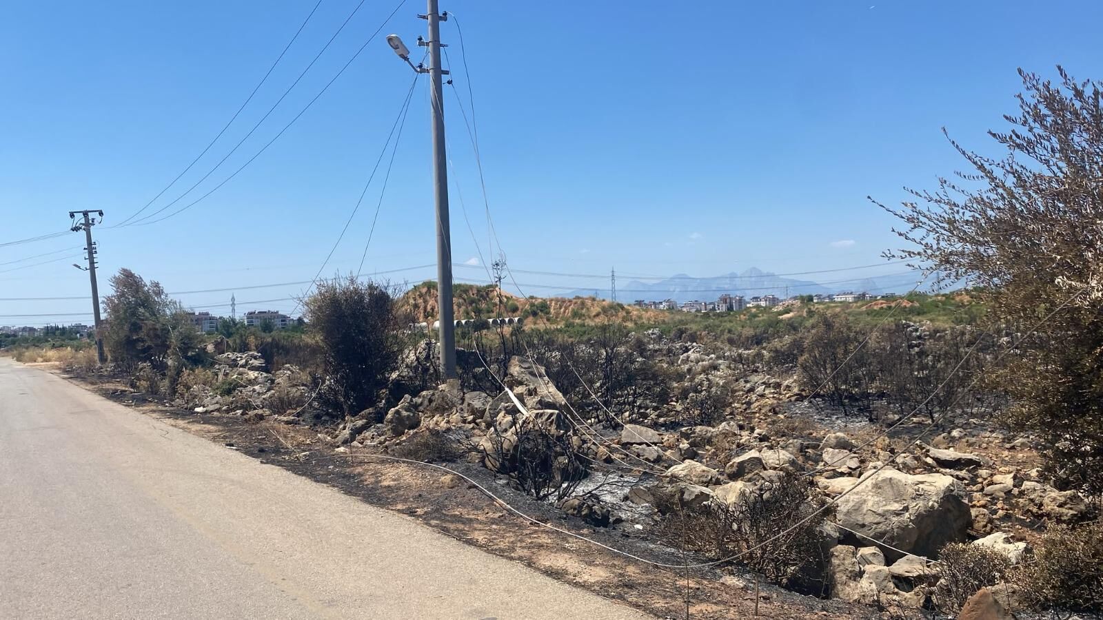 Firari Surucunun Izini, Kepez Belediyesi Ekipleri Buldu 7
