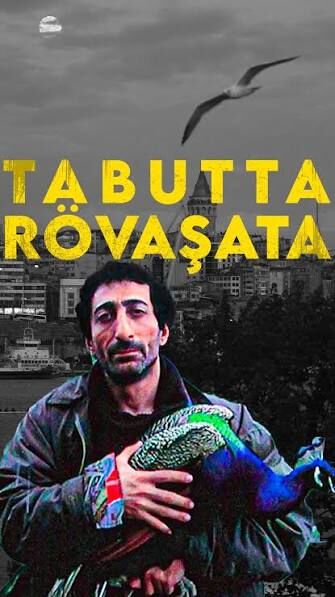 tabutta rövaşata