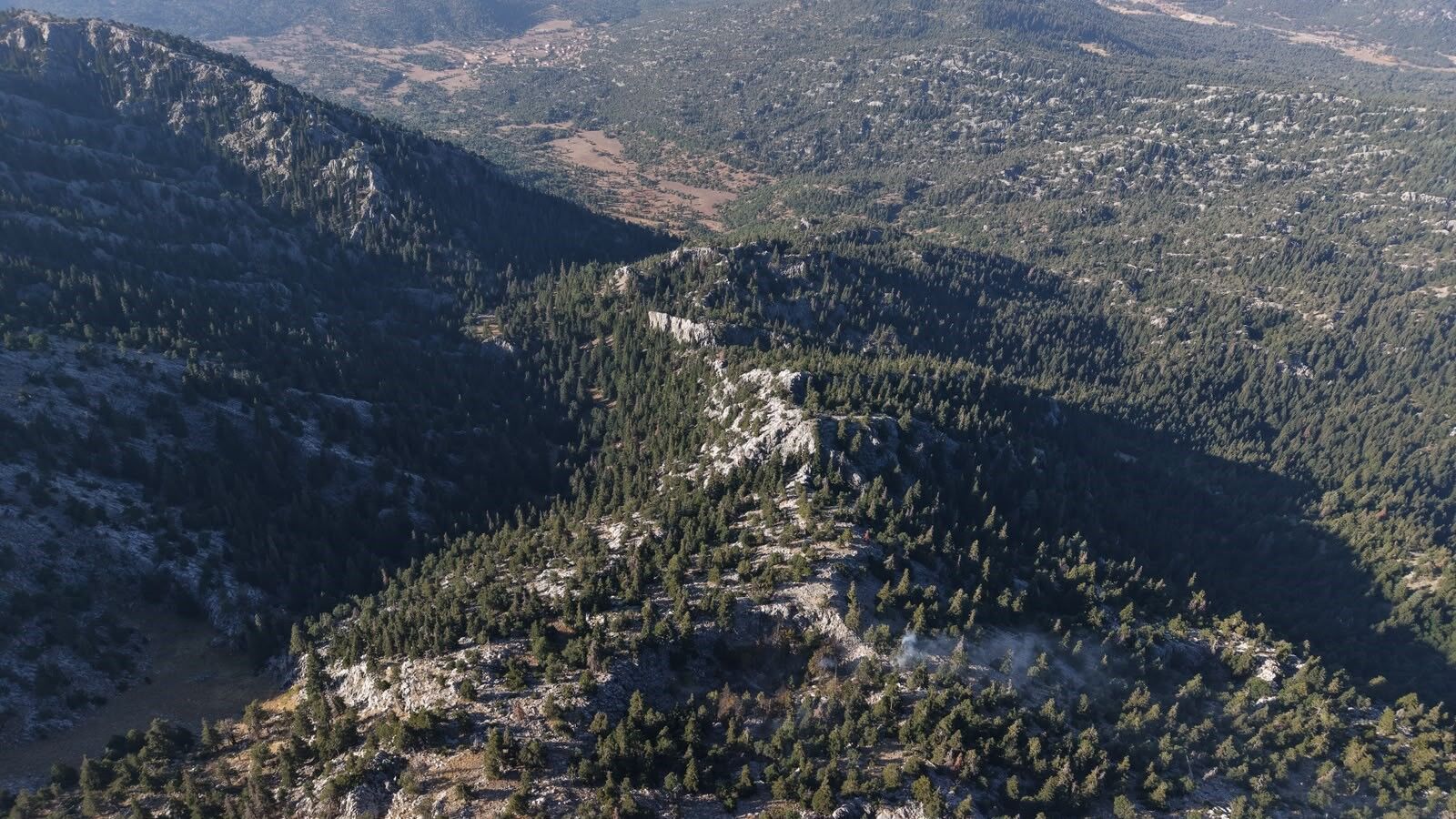 A W787295 02