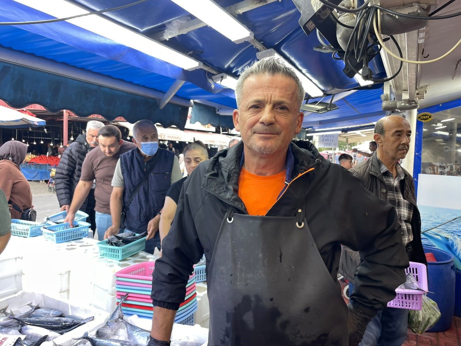 Bolu'da palamut ve hamsi ilgisi