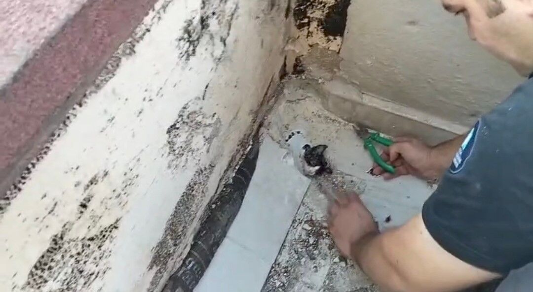 Yavru kediyi itfaiyeciler kurtardı