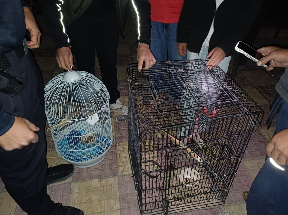 Belgesiz papağan satışına 30 bin TL ceza