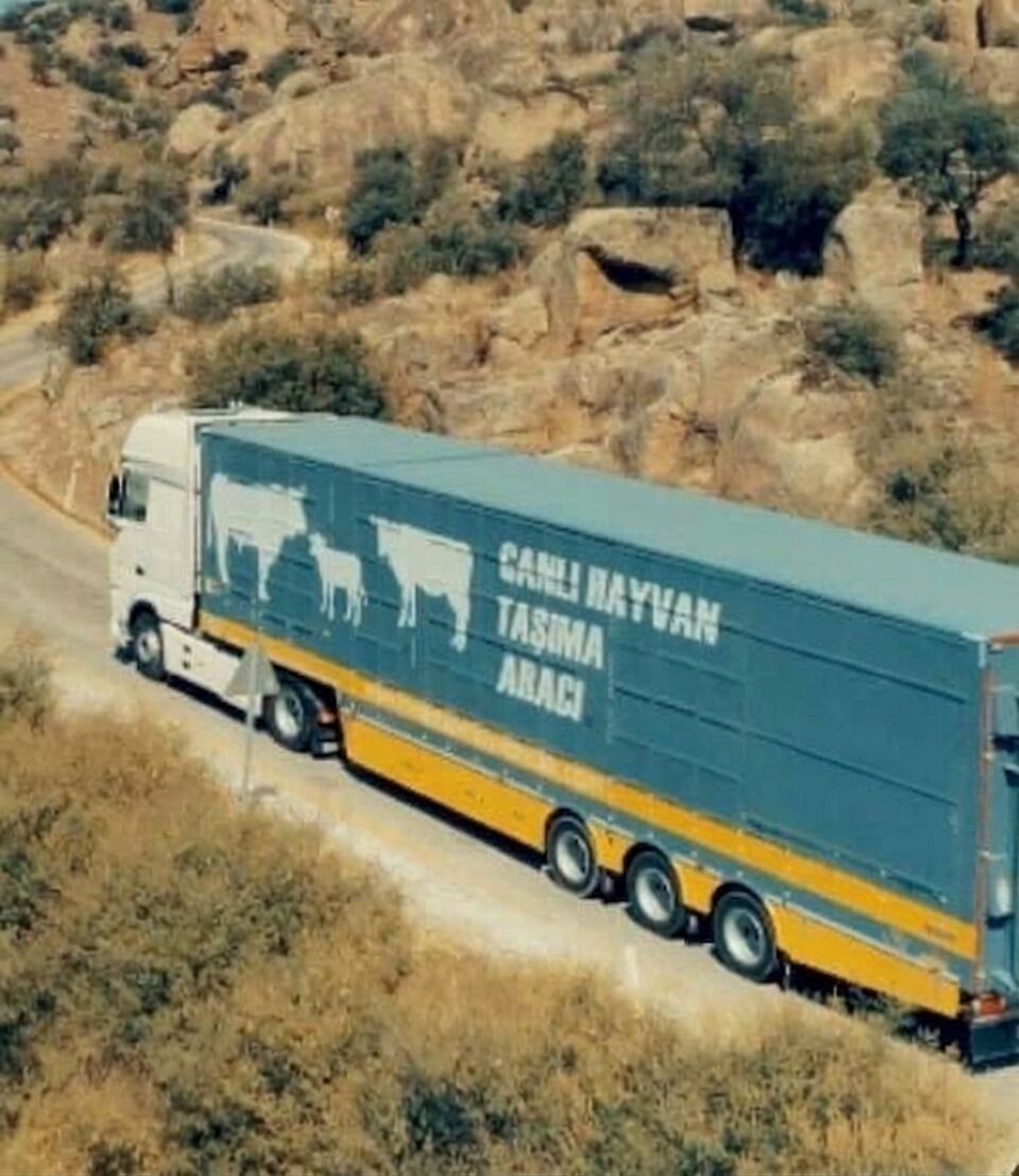 canlı hayvan taşıma aracı