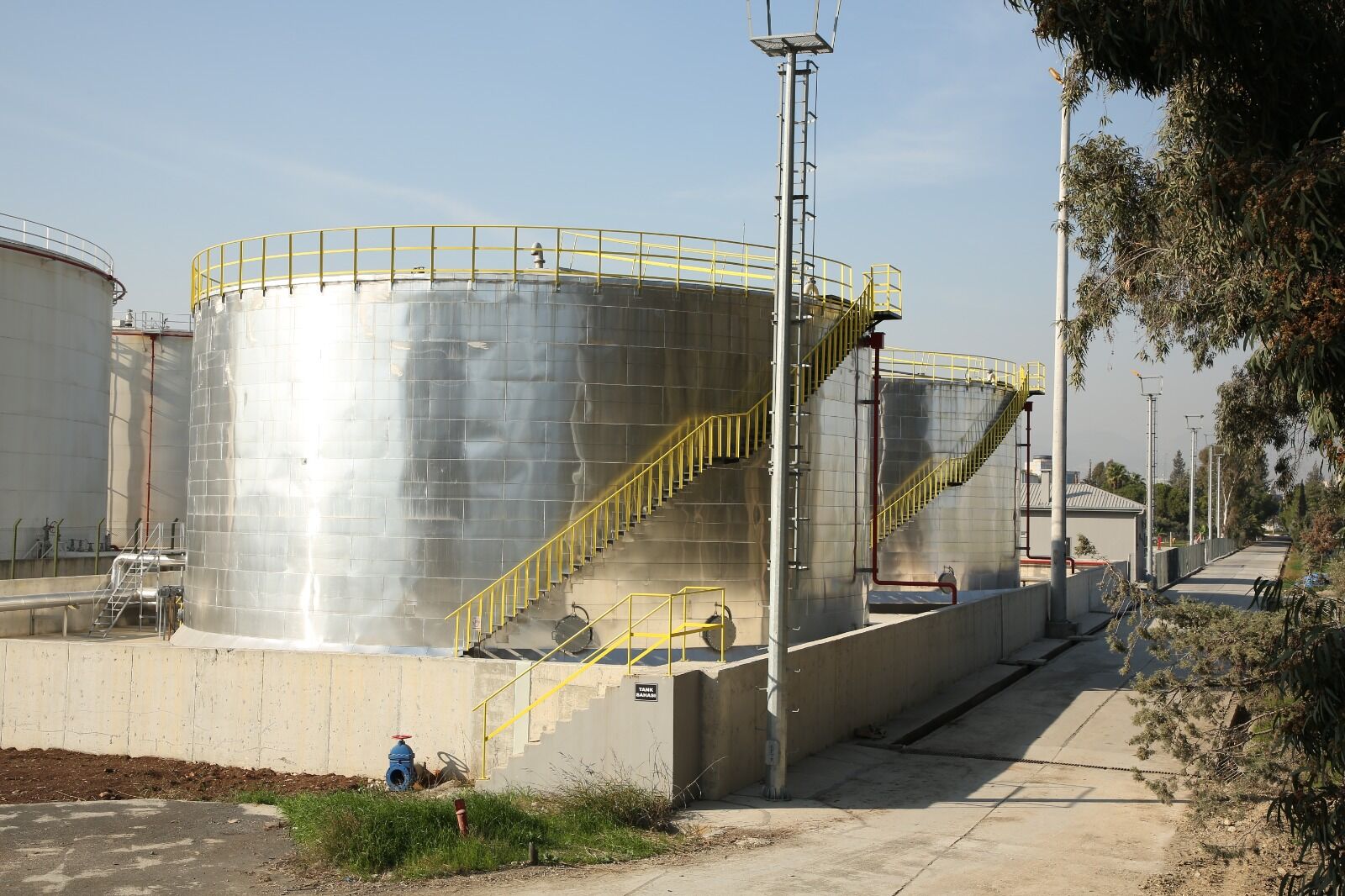 Msb Ant 3