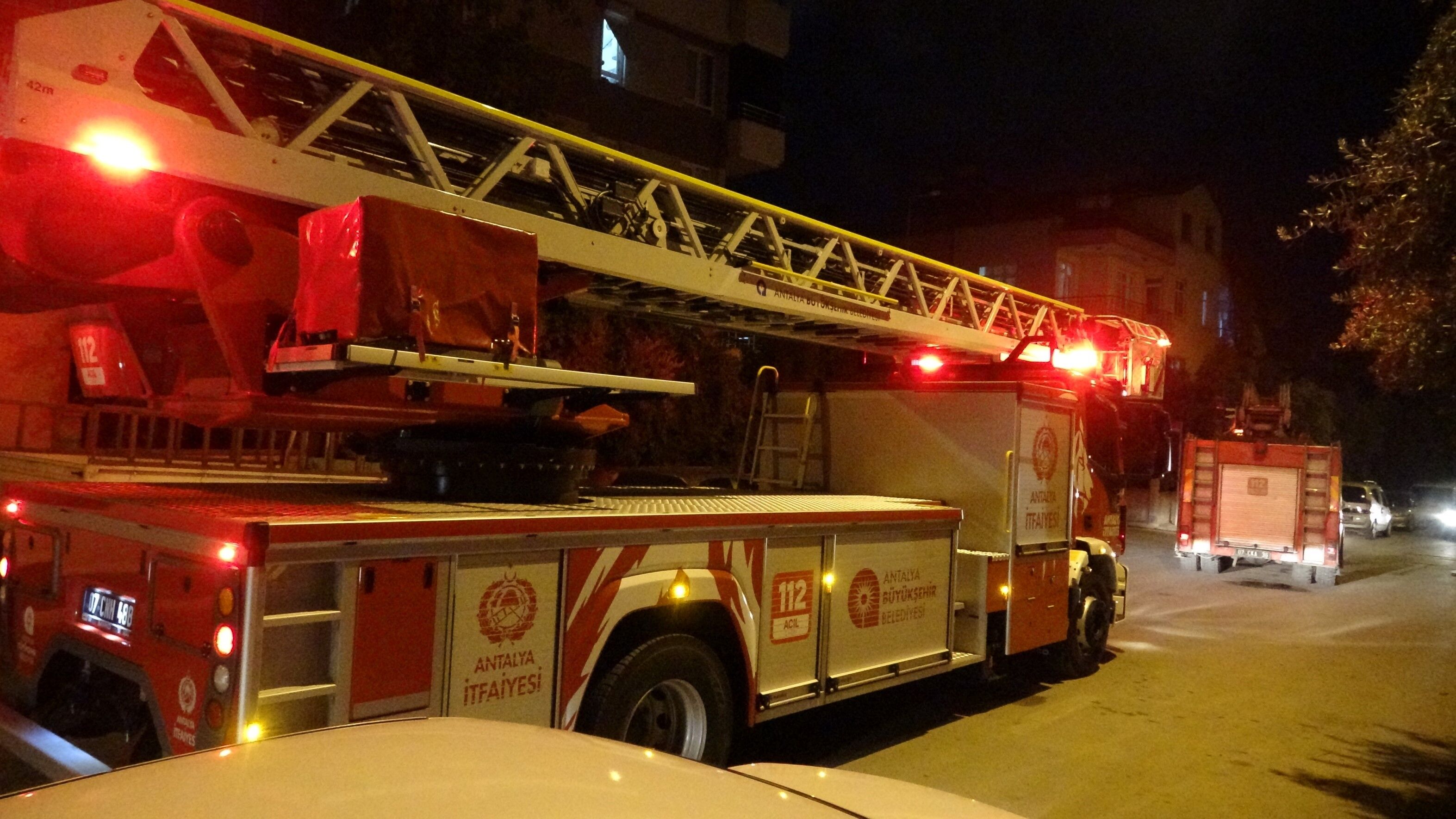 A W799857 02