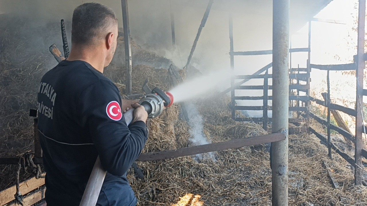 Manavgat'ta yangın: 5 hayvan telef oldu