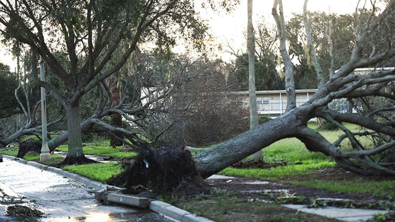 ABD'nin Florida eyaletini Idalia Kasırgası vurdu