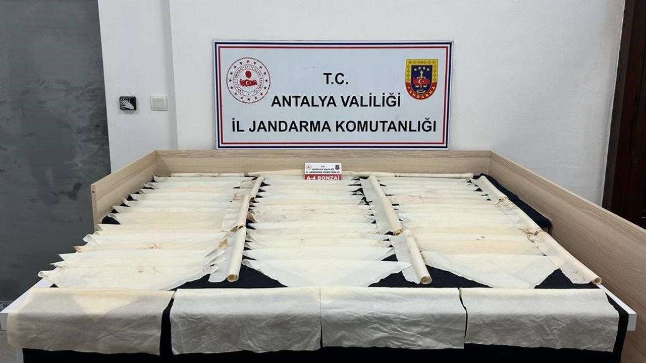 Antalya’da 1 milyon kullanımlık bonzai