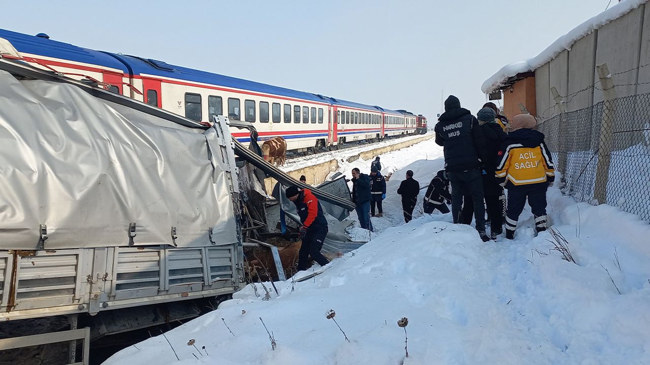 Hayvan yüklü TIR'a tren çarptı: Ölü ve yaralılar var