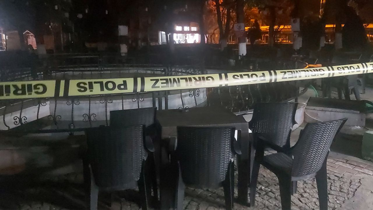 Süs havuzunda elektriğe kapıldılar
