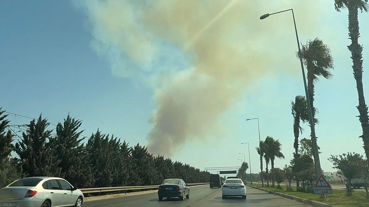 Antalya'da 2 orman yangını