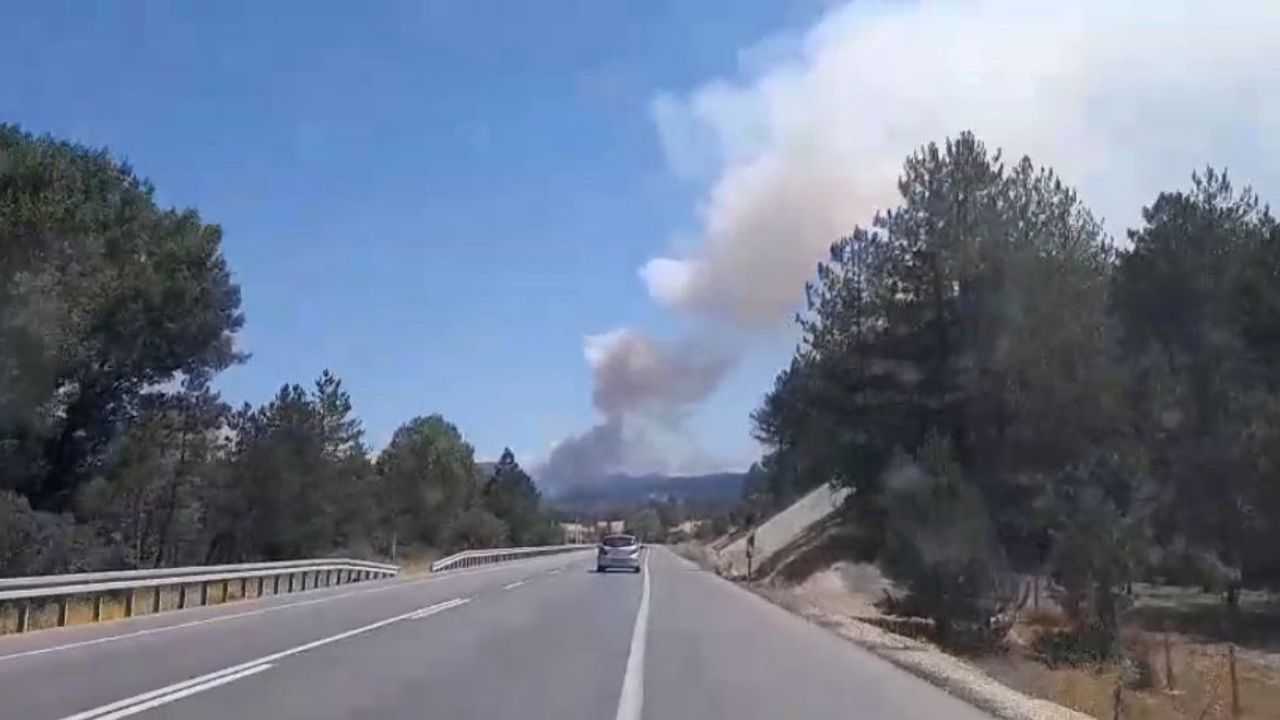 Bolu’da orman yangını