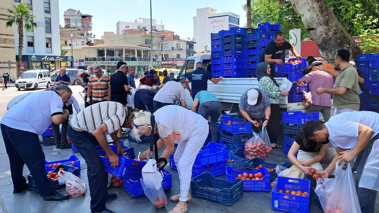 Antalya'da 4 ton domatesi dağıttı