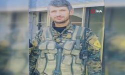 MİT'ten Kamışlı'ya operasyon