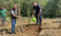 Gazipaşa'da fidan dikimi yapıldı