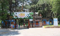 Antalya'da ‘Hayvanat Bahçeleri’ toplantısı