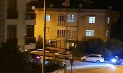 Antalya polisinden kurt kapanı