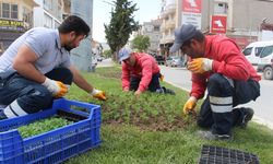 Büyükşehir caddeleri süslüyor