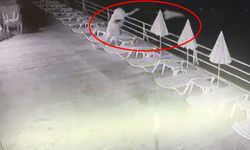 Önce dans etti sonra şemsiyeleri denize attı