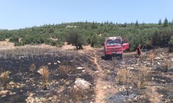 Antalya'da çalılık alanda korkutan yangın!