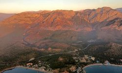 Kemer yangınında 800 hektar alan yandı