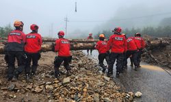 Güney Kore’de sel ve toprak kayması: 37 ölü