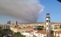 İspanya’da orman yangını