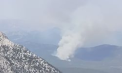 Antalya'da orman yangını çıktı