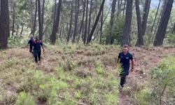 Alman turist için ekipler seferber oldu