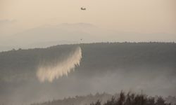 Çanakkale’deki büyük orman yangını kontrol altında