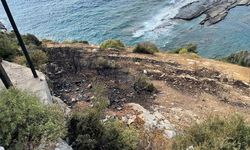Otluk alanda çıkan yangın söndürüldü