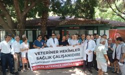 Veteriner hekimler iş bıraktı