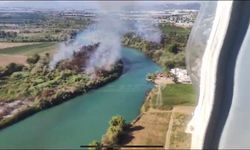 Antalya'da kuş cennetinde yangın