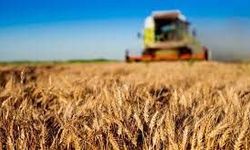 Çiftçilere destek ödemesi bugün