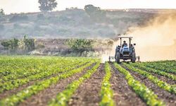 Bu yönetmelikle çiftçi üretmez!