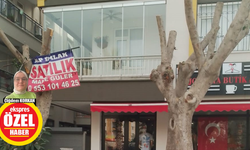 Antalya'da ağaç budama tepkisi