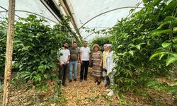 Kumluca’da tropik meyve yetiştiriciliği eğitimi 