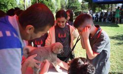 Konyaaltı'da sokak hayvanları unutulmadı!