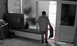 Kediyi tekmeleyen berber çırağı serbest bırakıldı!