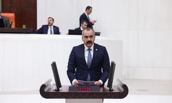 Antalya Milletvekili Durgun başpehlivanlar için yasa istedi