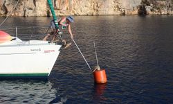 Deniz çayırlarının ekosistemi korunacak