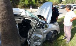 Yasemin'den acı haber