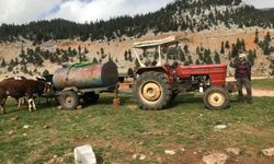 Antalya'da Yörüklerin yayla dönüşü başladı