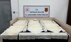 Antalya’da 1 milyon kullanımlık bonzai