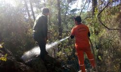 Gazipaşa'da orman yangını!