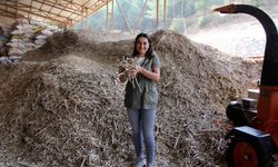 Muratpaşa'dan çevre çalıştayı