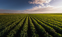 Çiftçi Kayıt Sistemi'nde yeni dönem